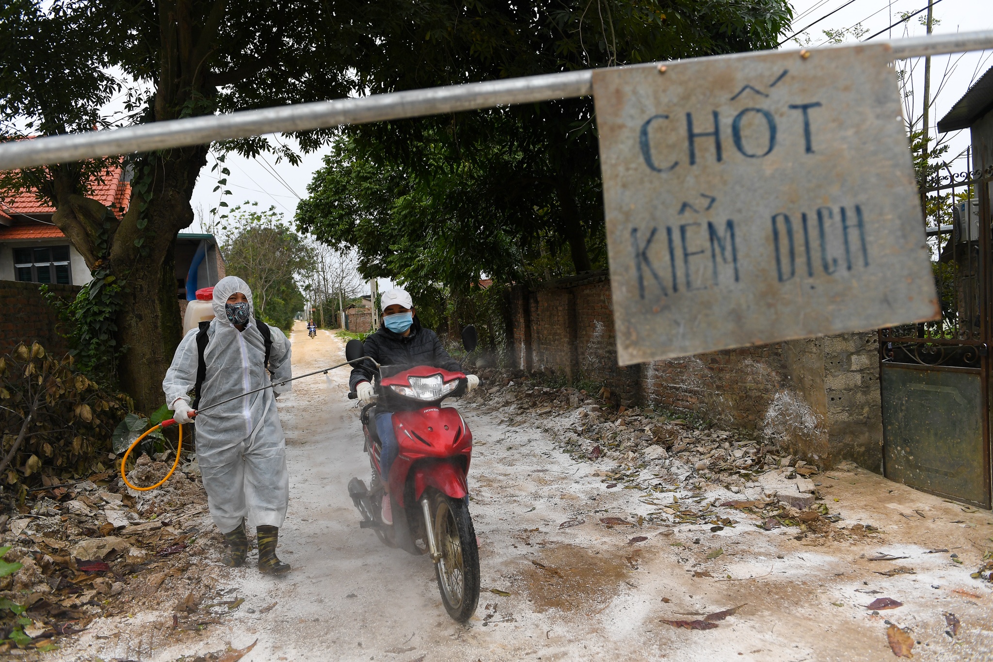 dich cum A/H5N6 anh 1