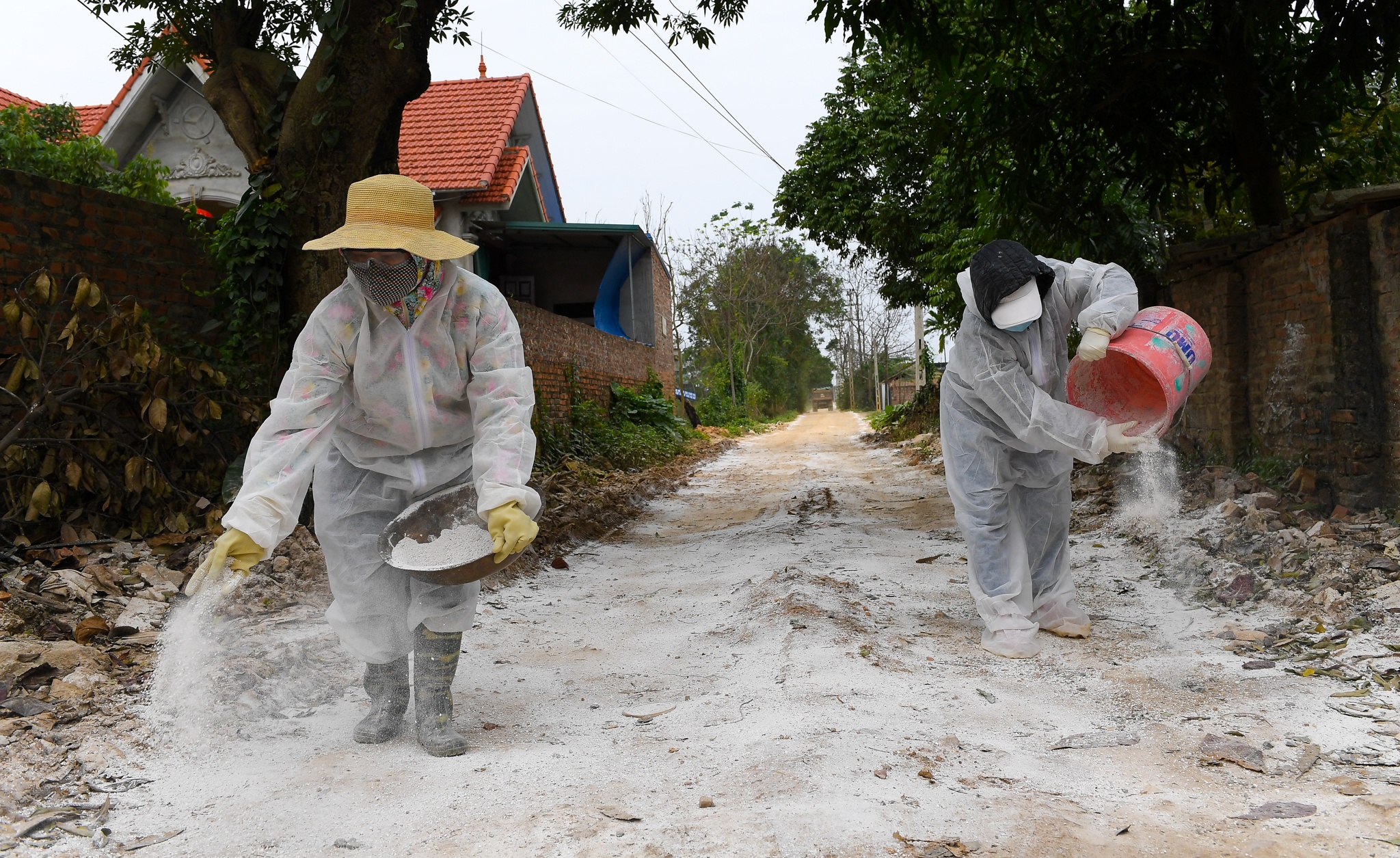 Rai voi, khu trung khi dich cum A/H5N6 xuat hien hinh anh