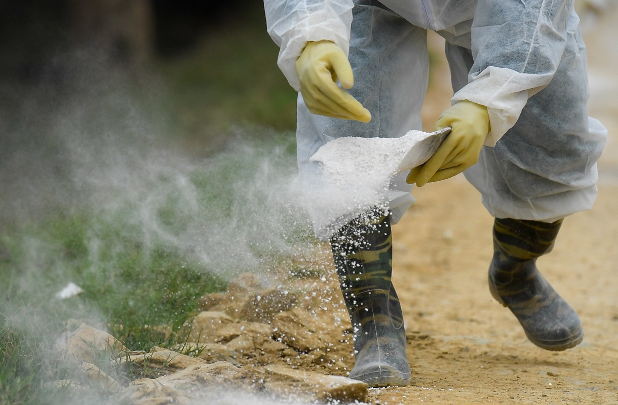 dich cum A/H5N6 anh 3