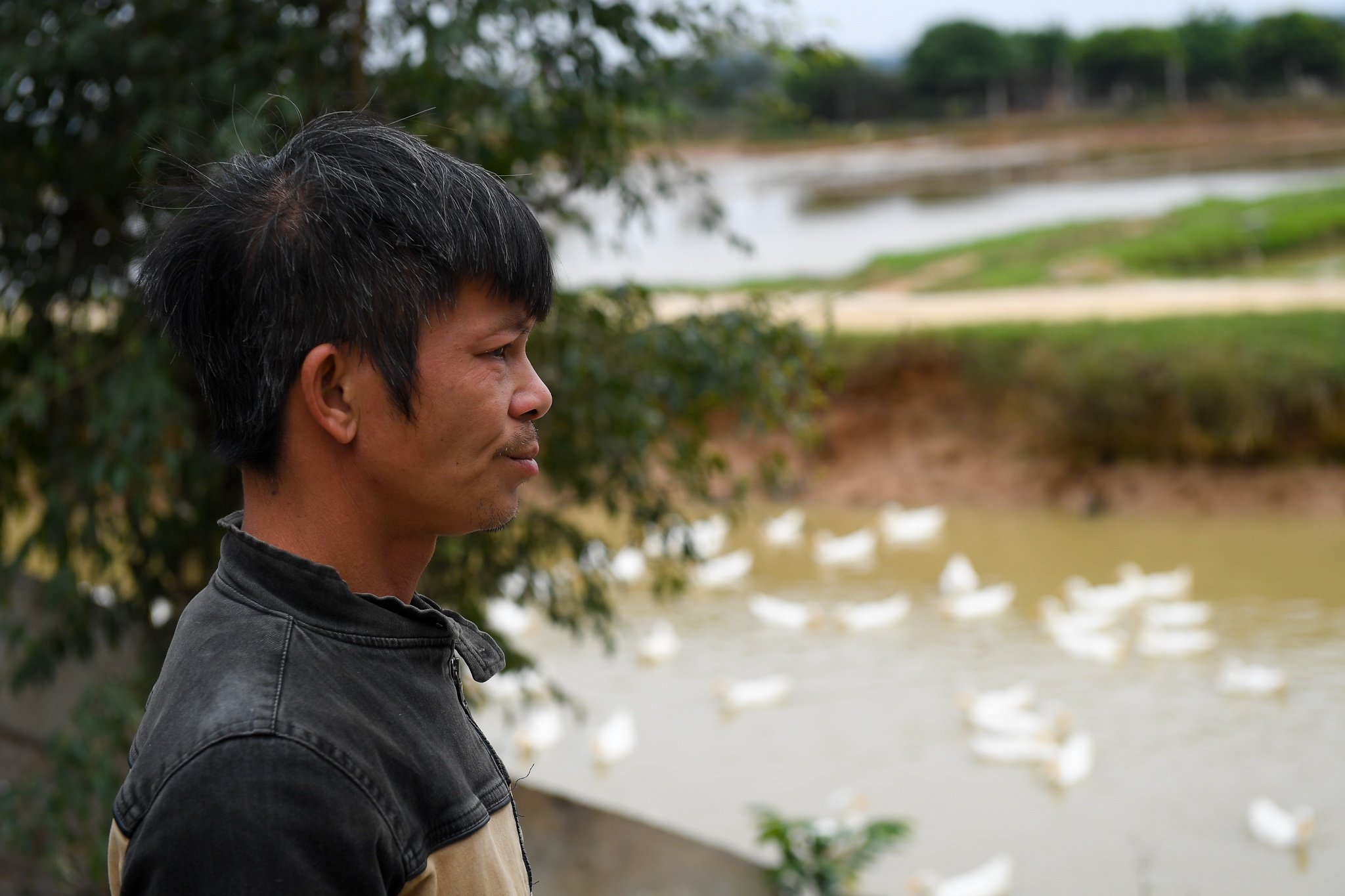 dich cum A/H5N6 anh 7