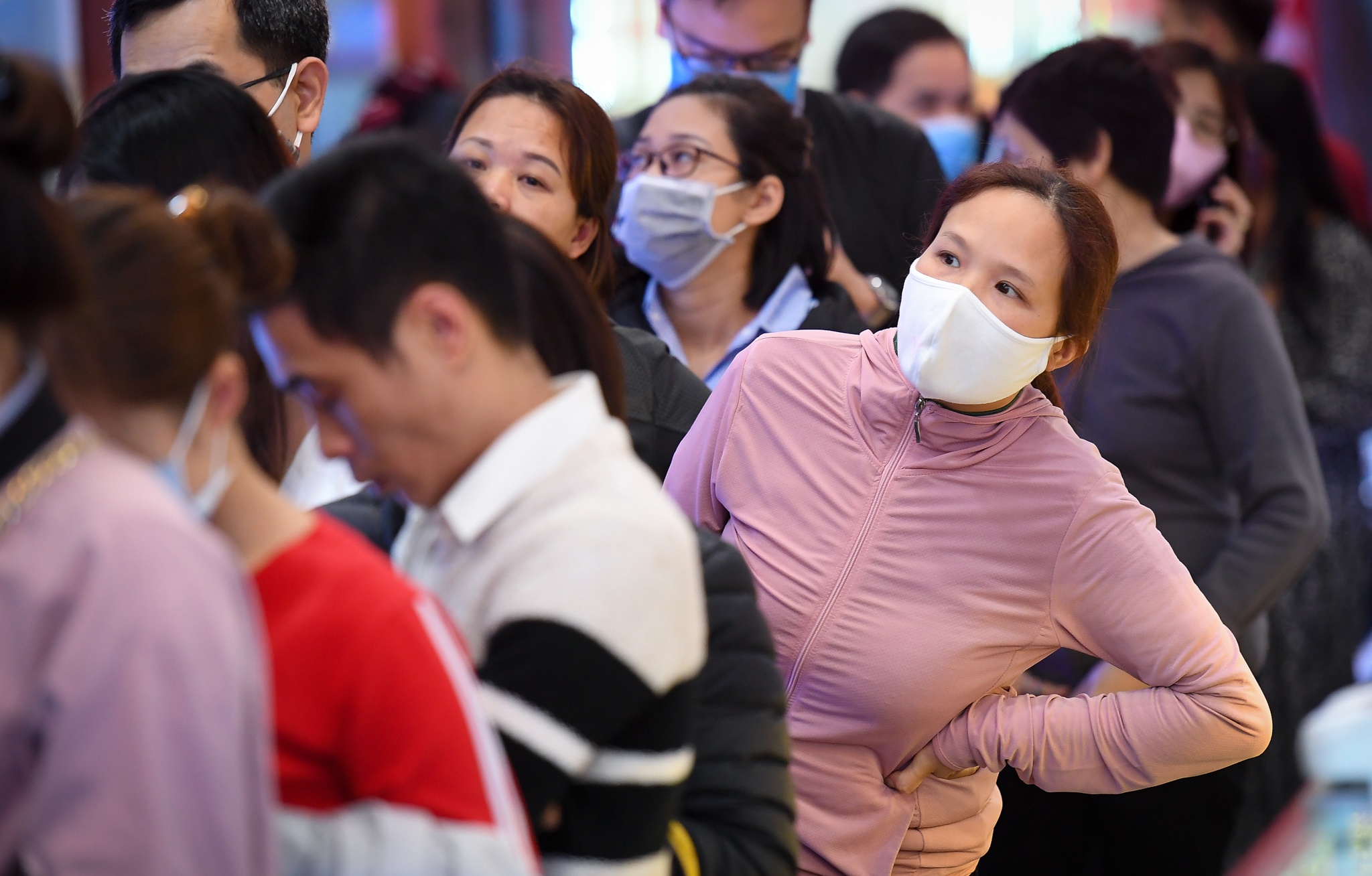 Mang 50 cay vang ban chot loi ngay gia dat dinh hinh anh