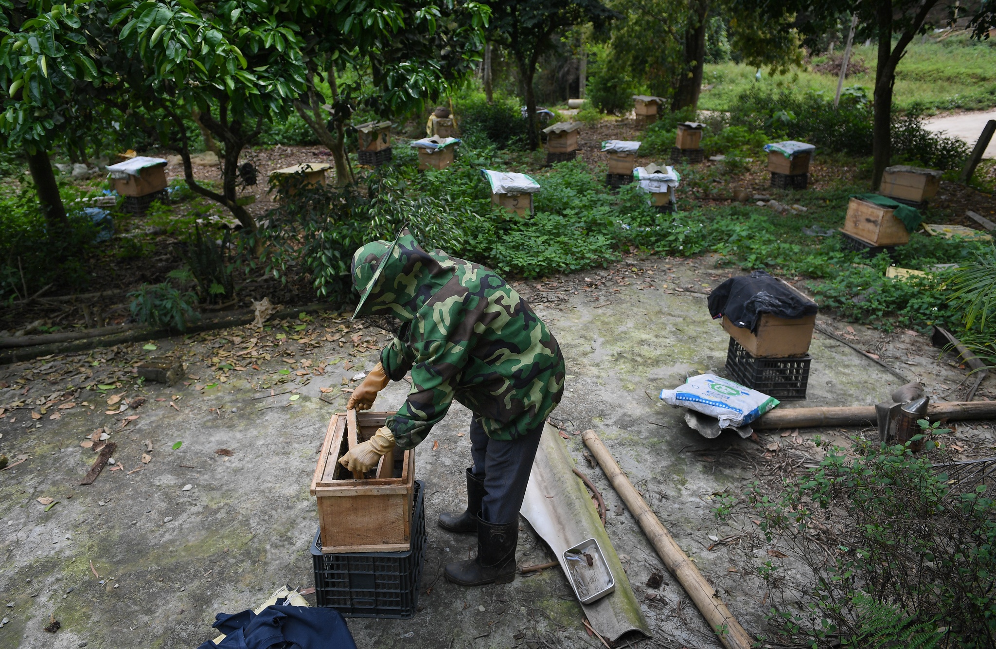 giao vien danh ca cam cu covid-19 anh 1