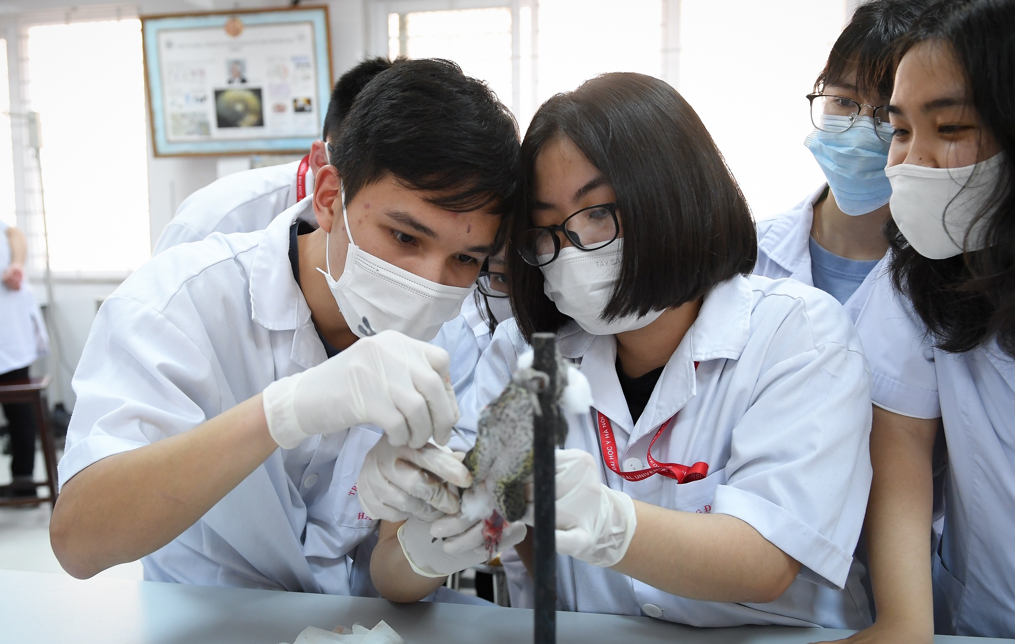 trường không nghỉ học vì dịch Covid-19 ảnh 7 truong khong nghi hoc vi dich Covid-19 anh 7