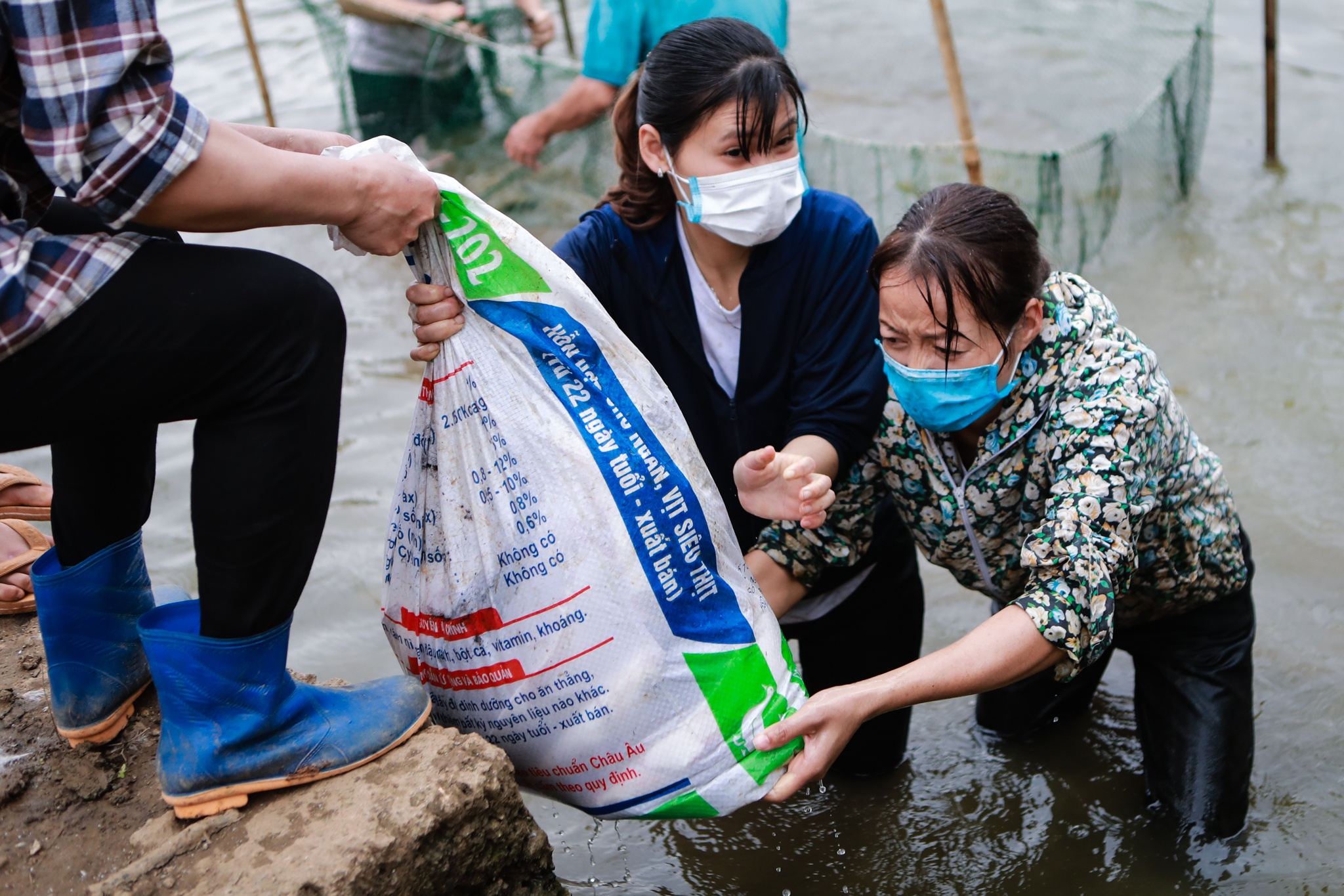 giao vien danh ca cam cu covid-19 anh 7