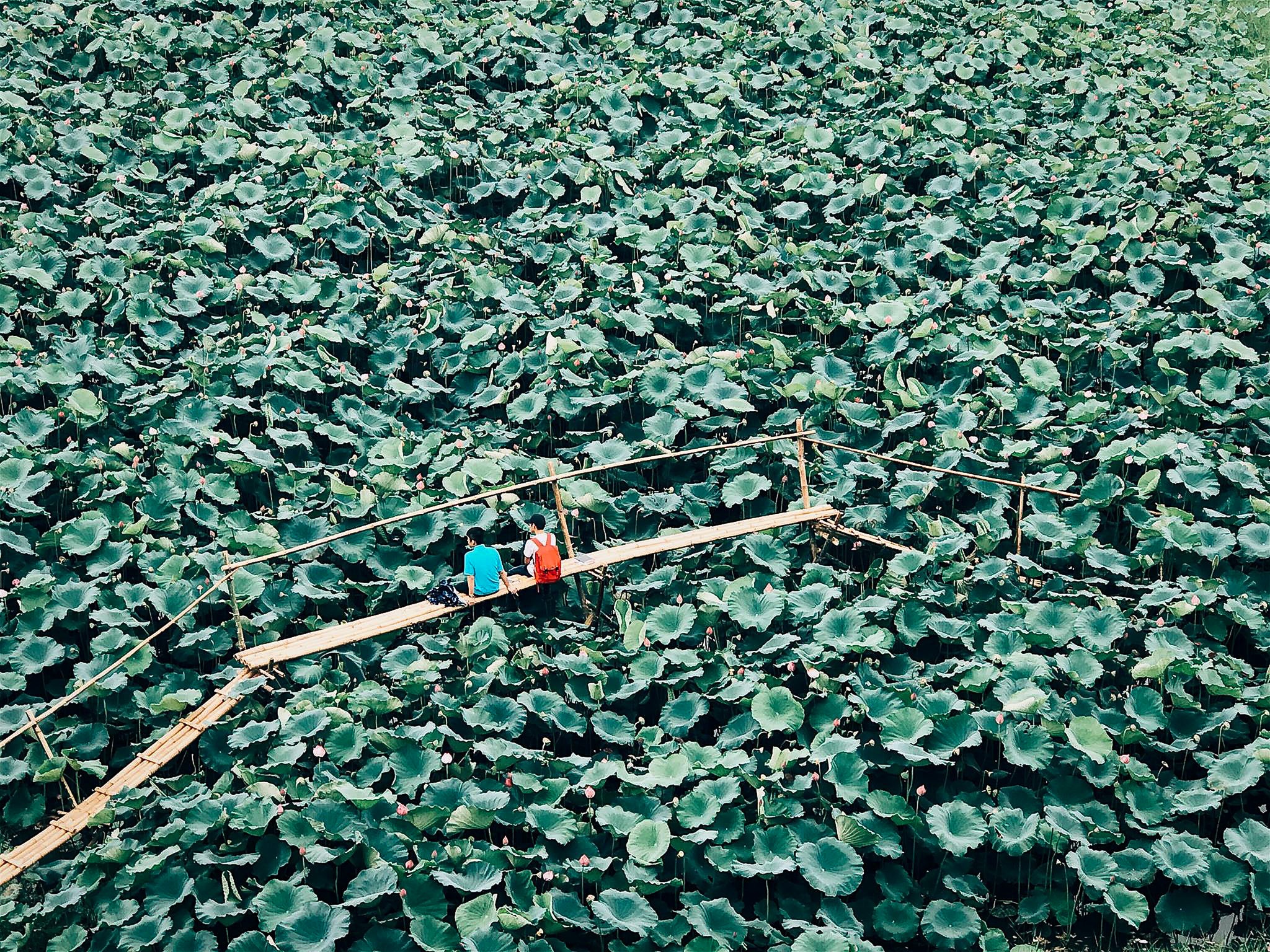 ky tuc xa la noi cach ly anh 9