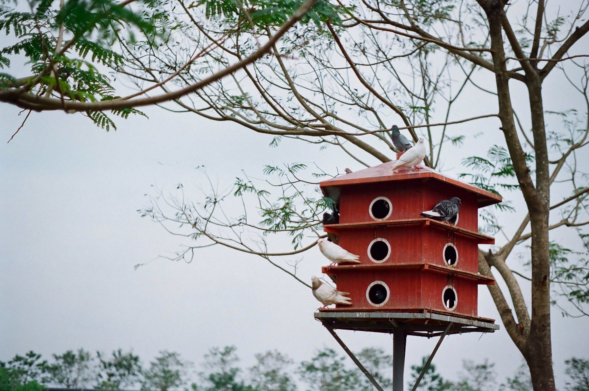 ky tuc xa la noi cach ly anh 8