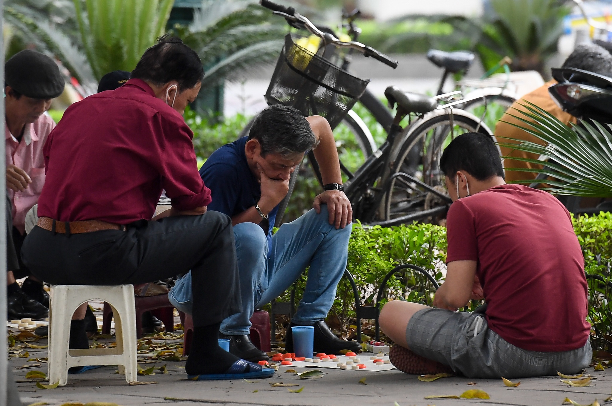 Tu tap uong tra, danh co giua dich Covid-19 hinh anh