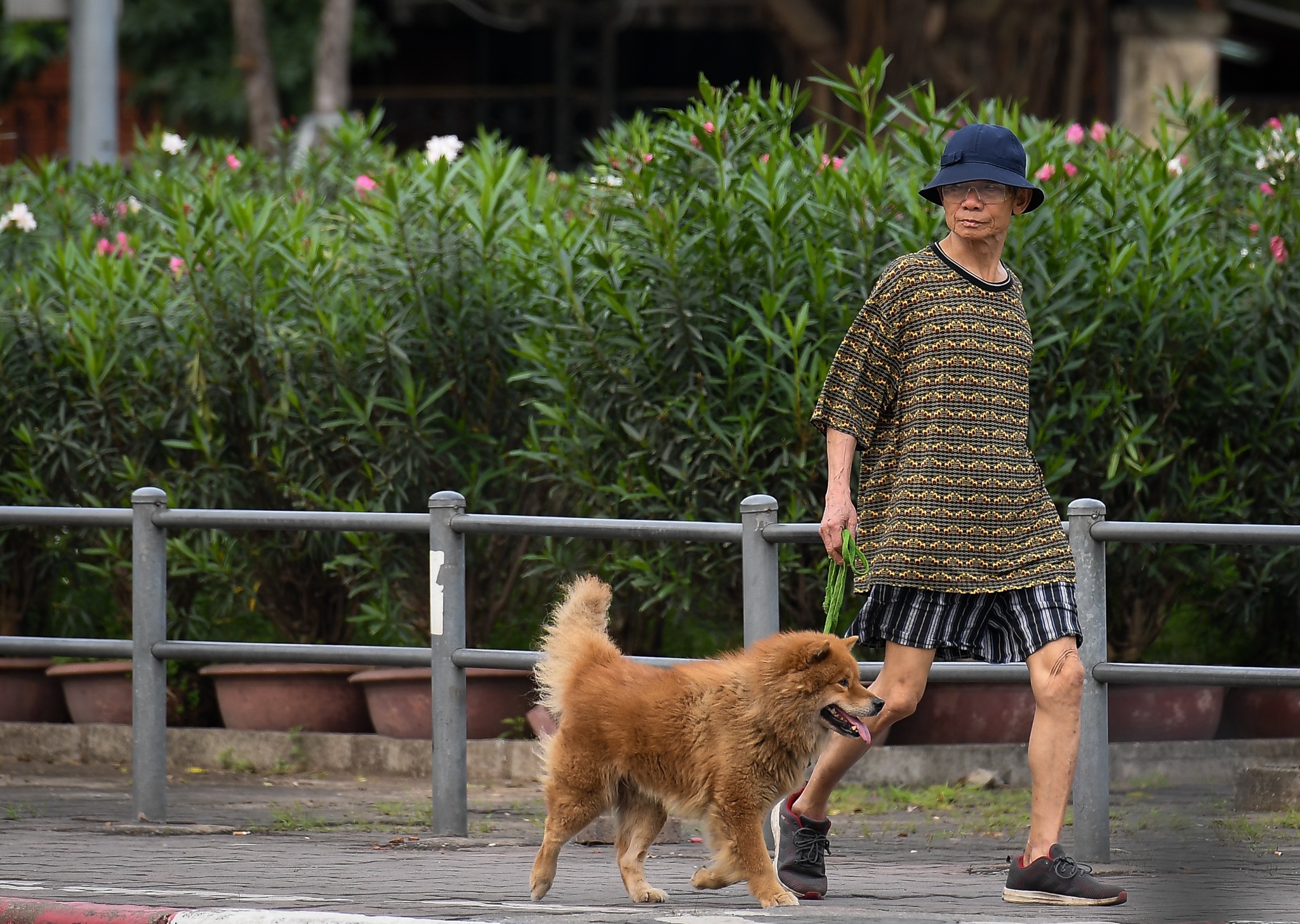 uong tra da giua mua dich anh 4