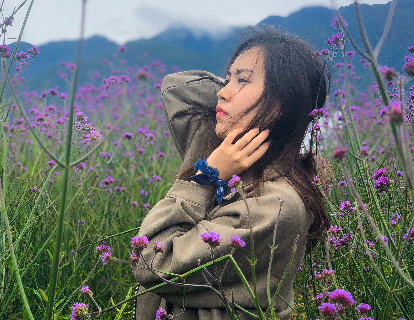 Du khach check-in vuon hoa tim o Sa Pa hinh anh