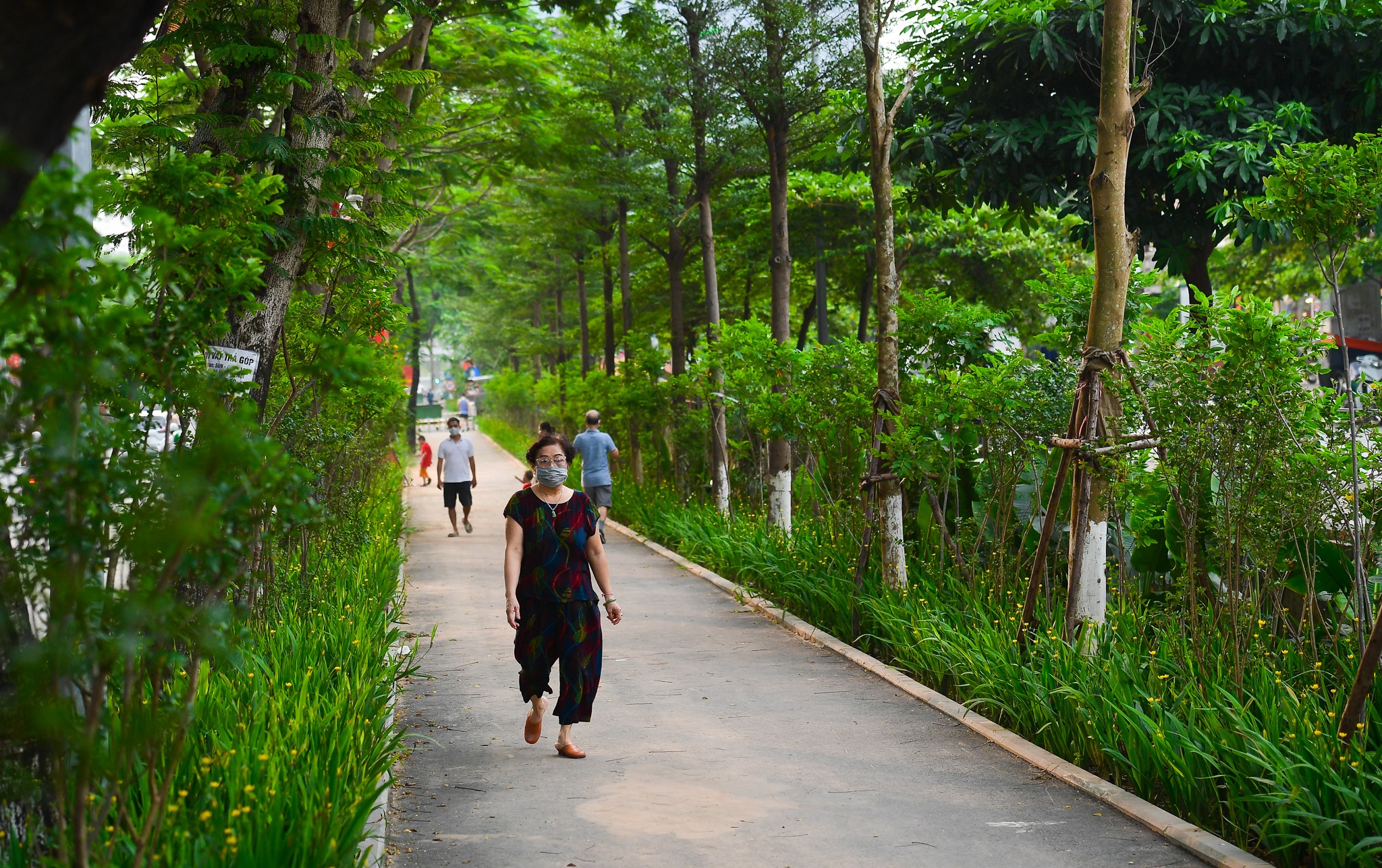 tuyen duong di bo rop bong cay xanh anh 1