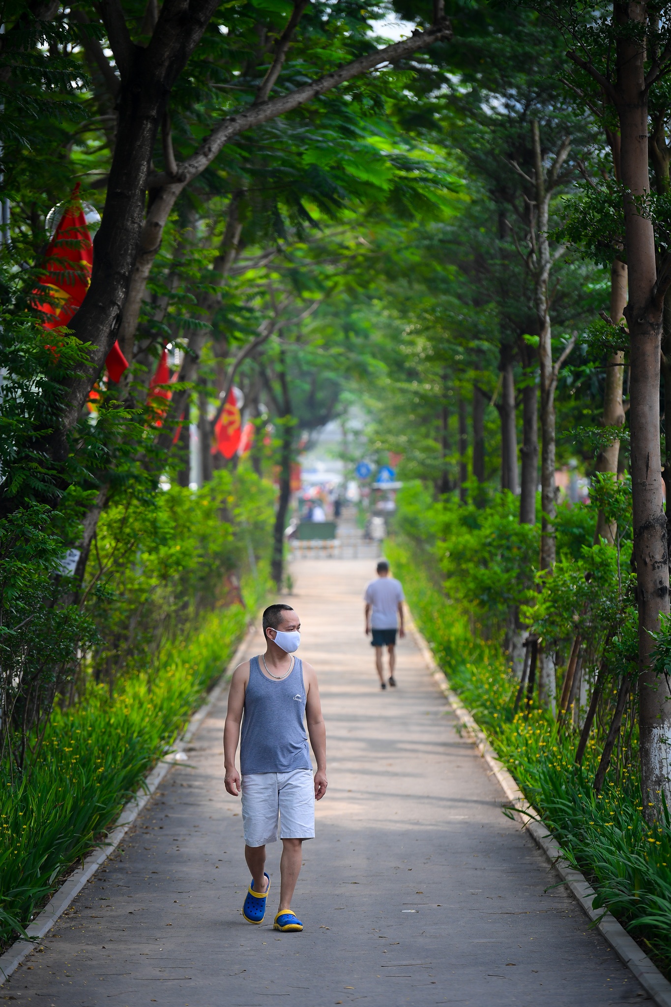 tuyen duong di bo rop bong cay xanh anh 8