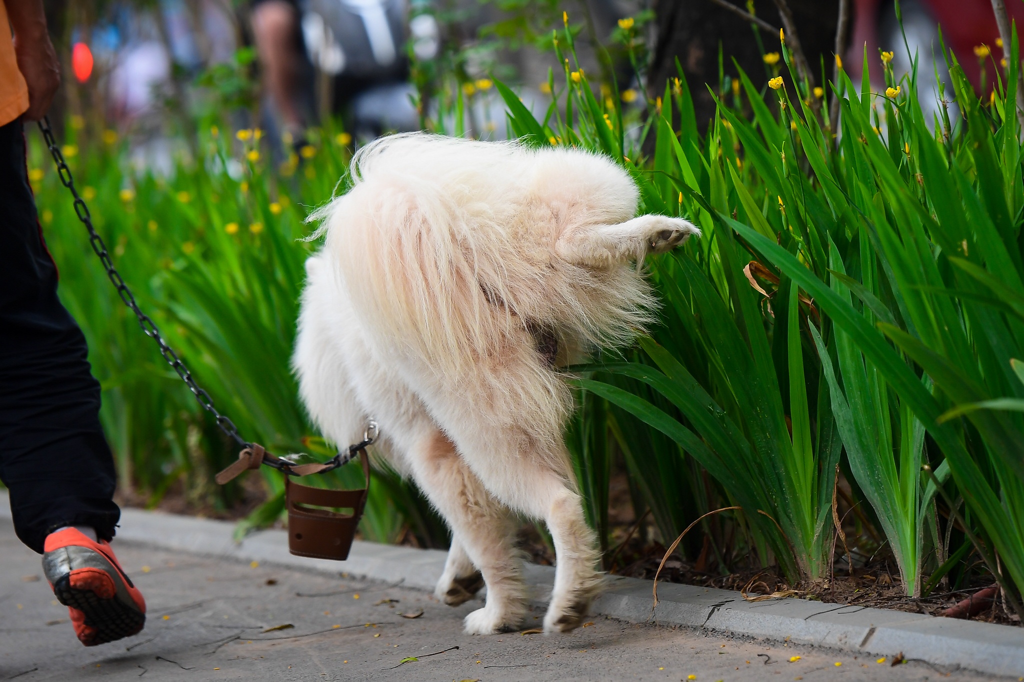 tuyen duong di bo rop bong cay xanh anh 9