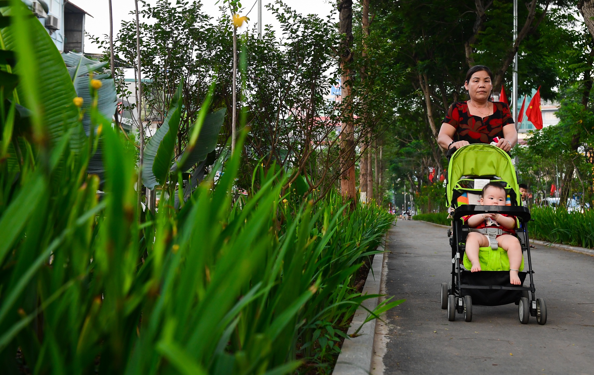 Duong di bo tran cay xanh moi xuat hien o Ha Noi hinh anh