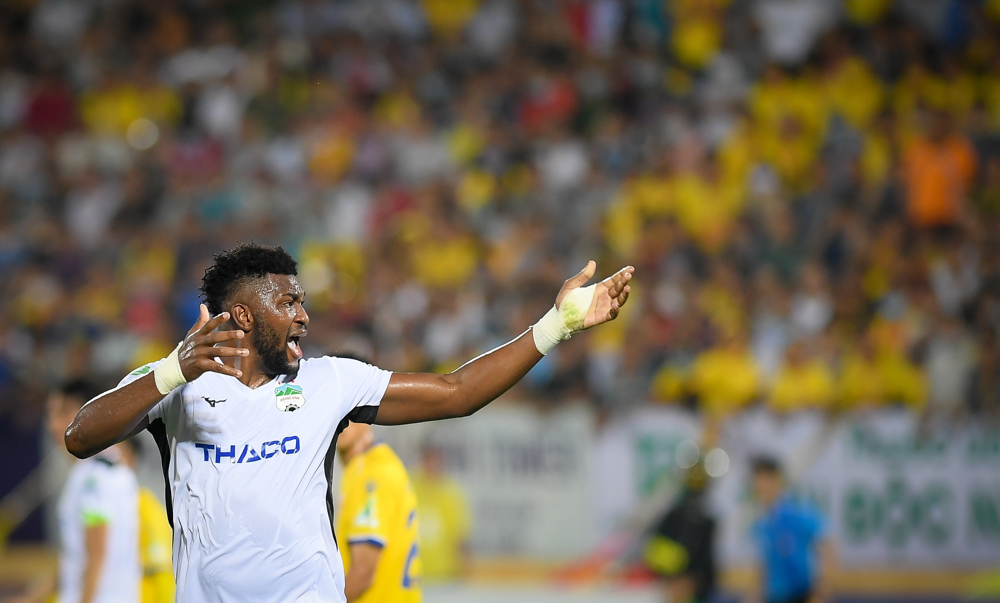 Do Merlo mang Hoang Minh Tuan anh 10