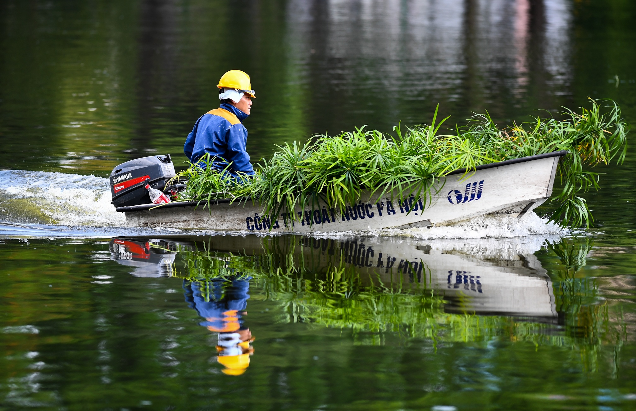 mo hoi chay nhu suoi anh 1