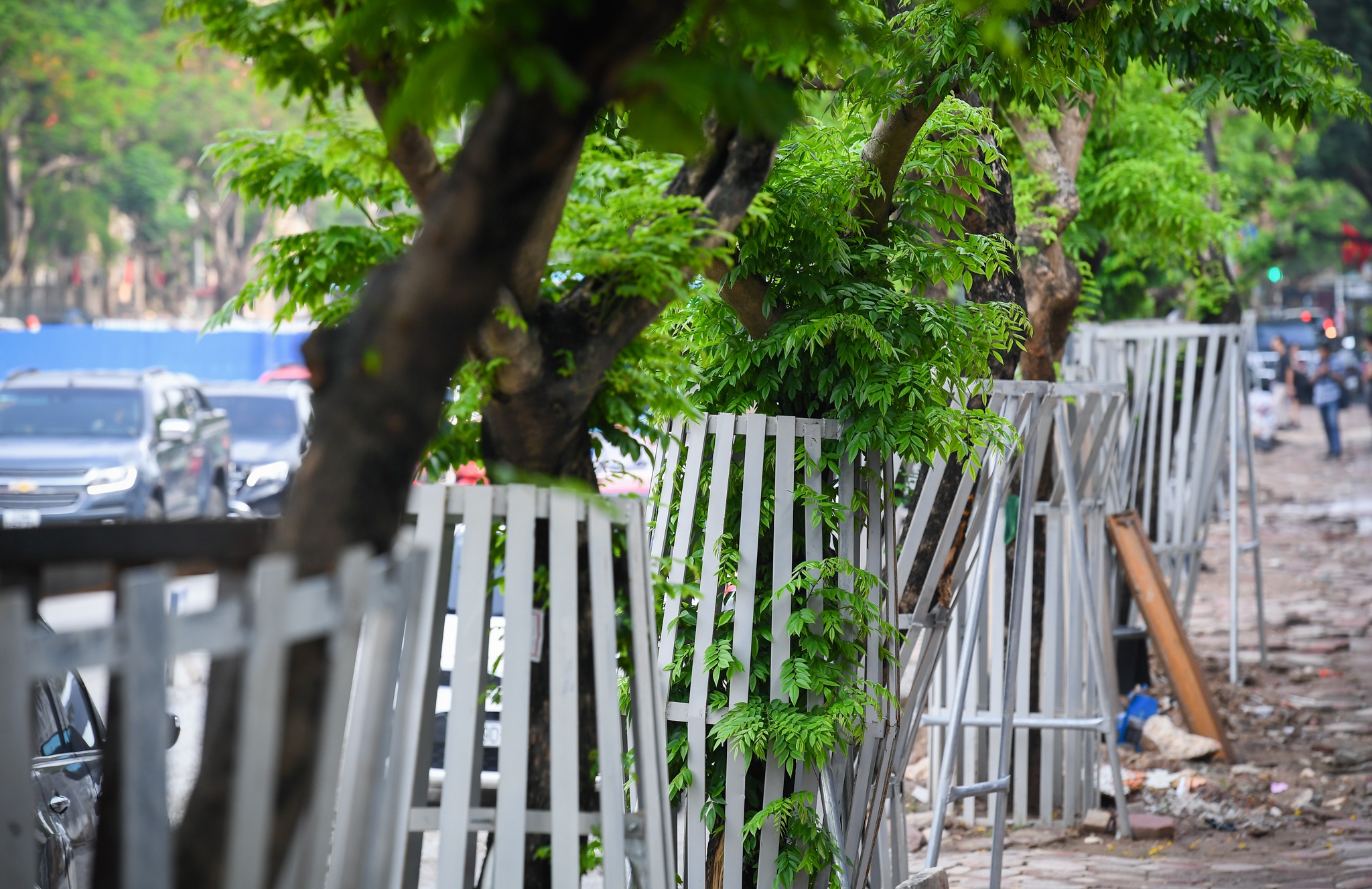 hang cay sua do mac ao giap sat anh 2