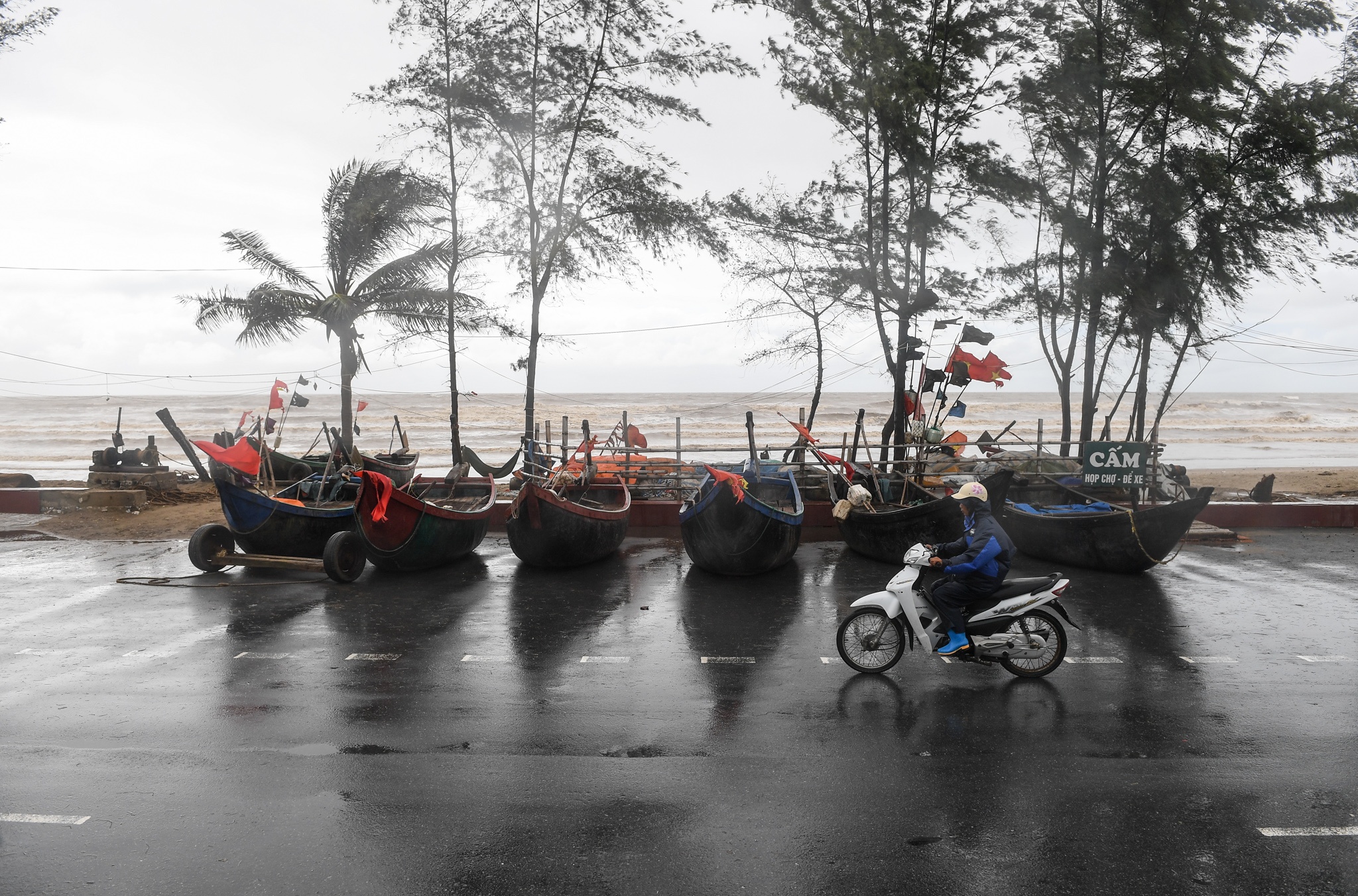 ngu dan Sam Son mang thuyen len duong anh 6