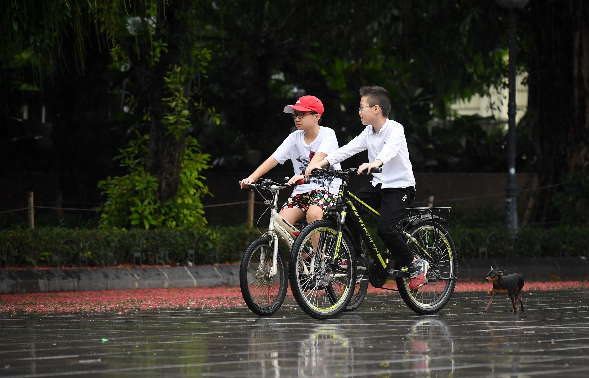 Ha Noi mua ret anh 7