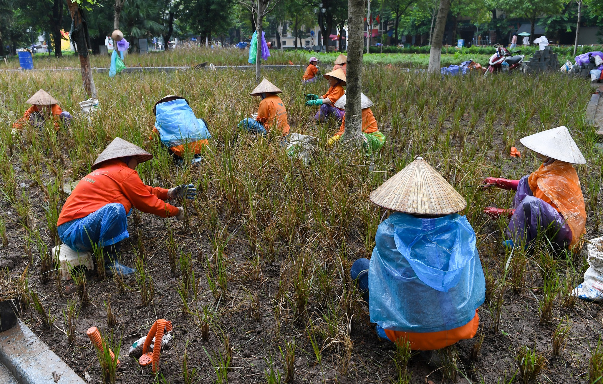 Ha Noi mua ret anh 5