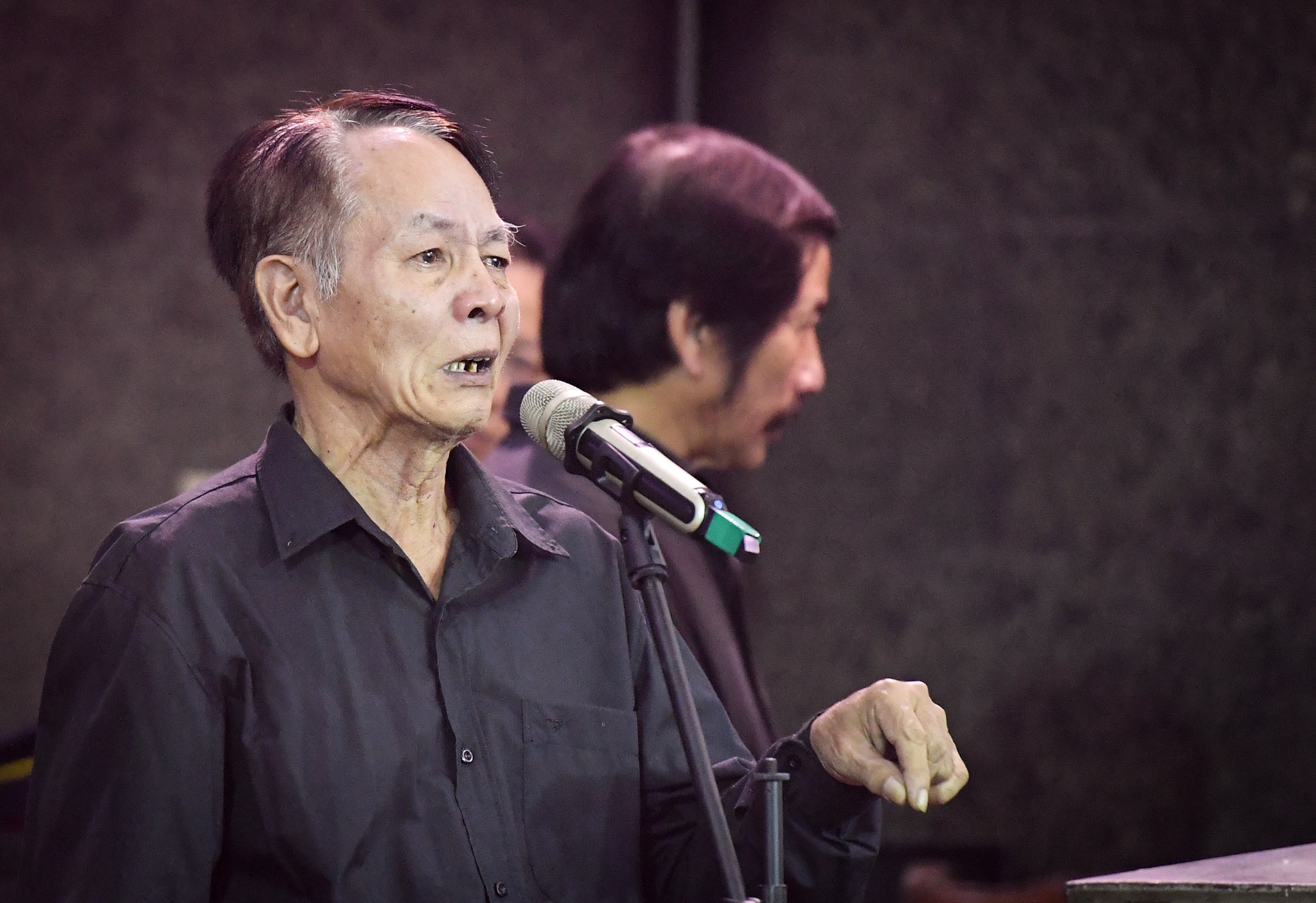 le vieng ca si tuan phuong anh 13