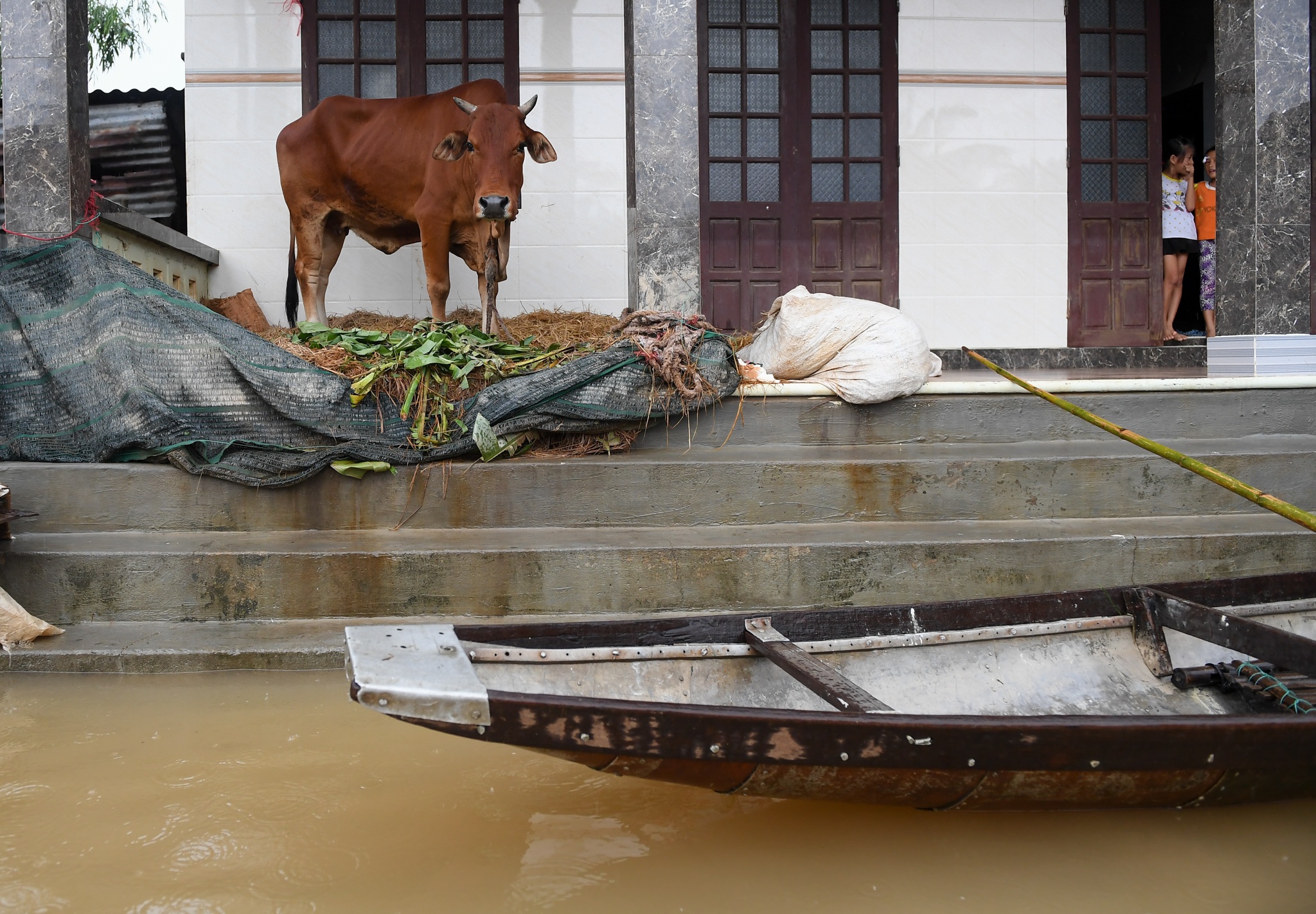 bo song chung voi nguoi trong lu anh 2