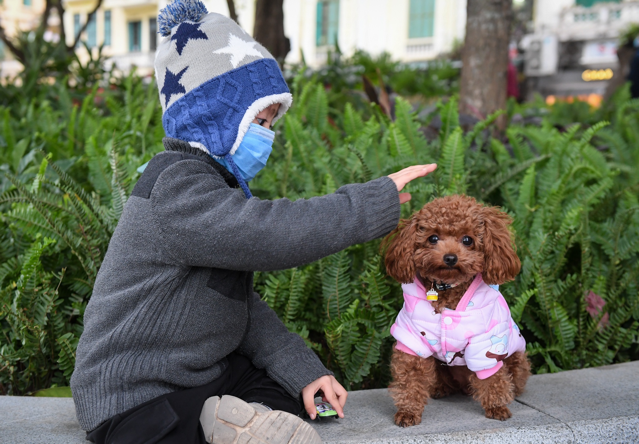 Mac ao ret cho thu cung trong troi lanh 11 do C hinh anh