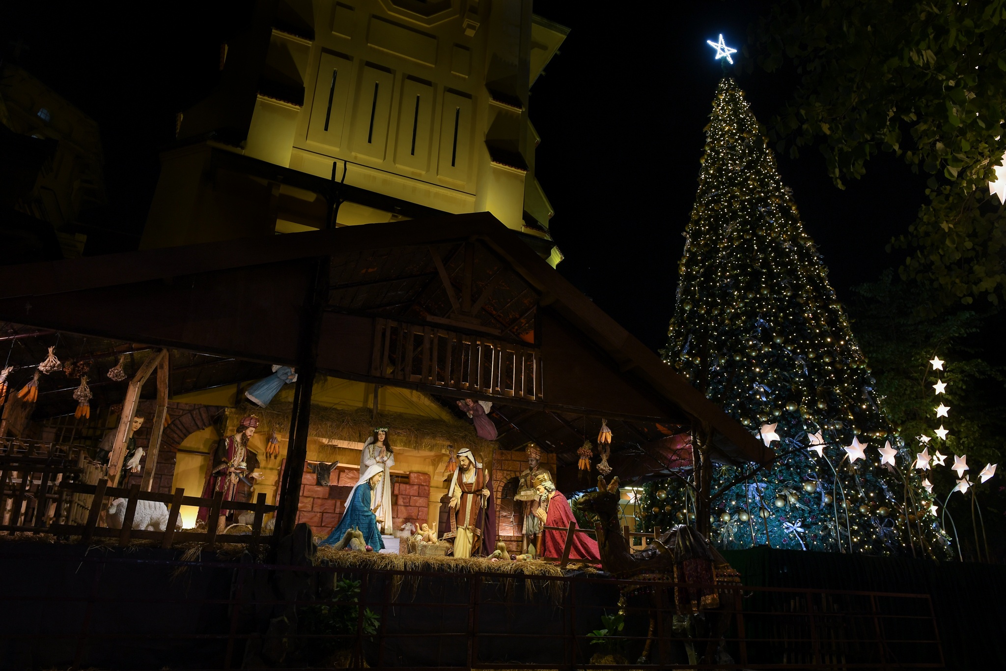 giang sinh 2020 anh 6