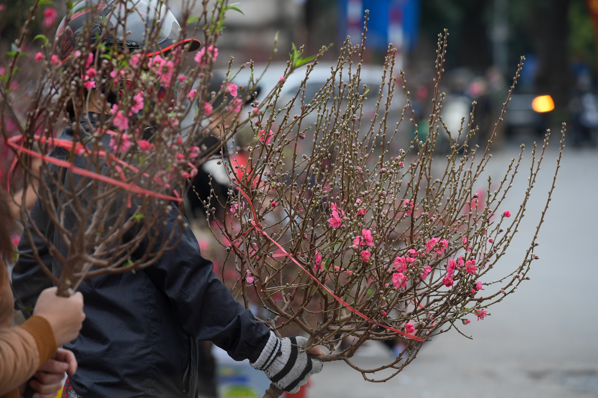 Dao Nhat Tan tang gia anh 3