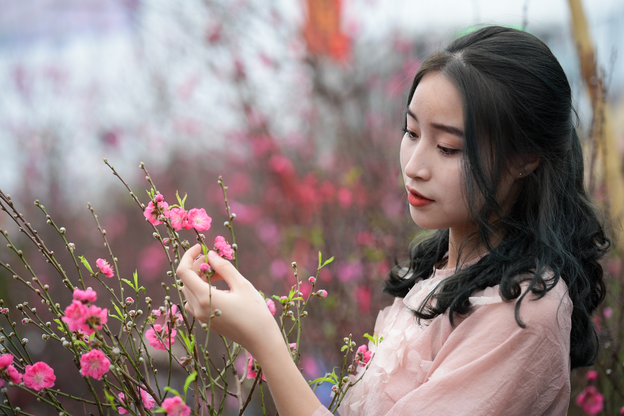 Dao Nhat Tan duoc mua, dao rung khan hiem o cho hoa hinh anh