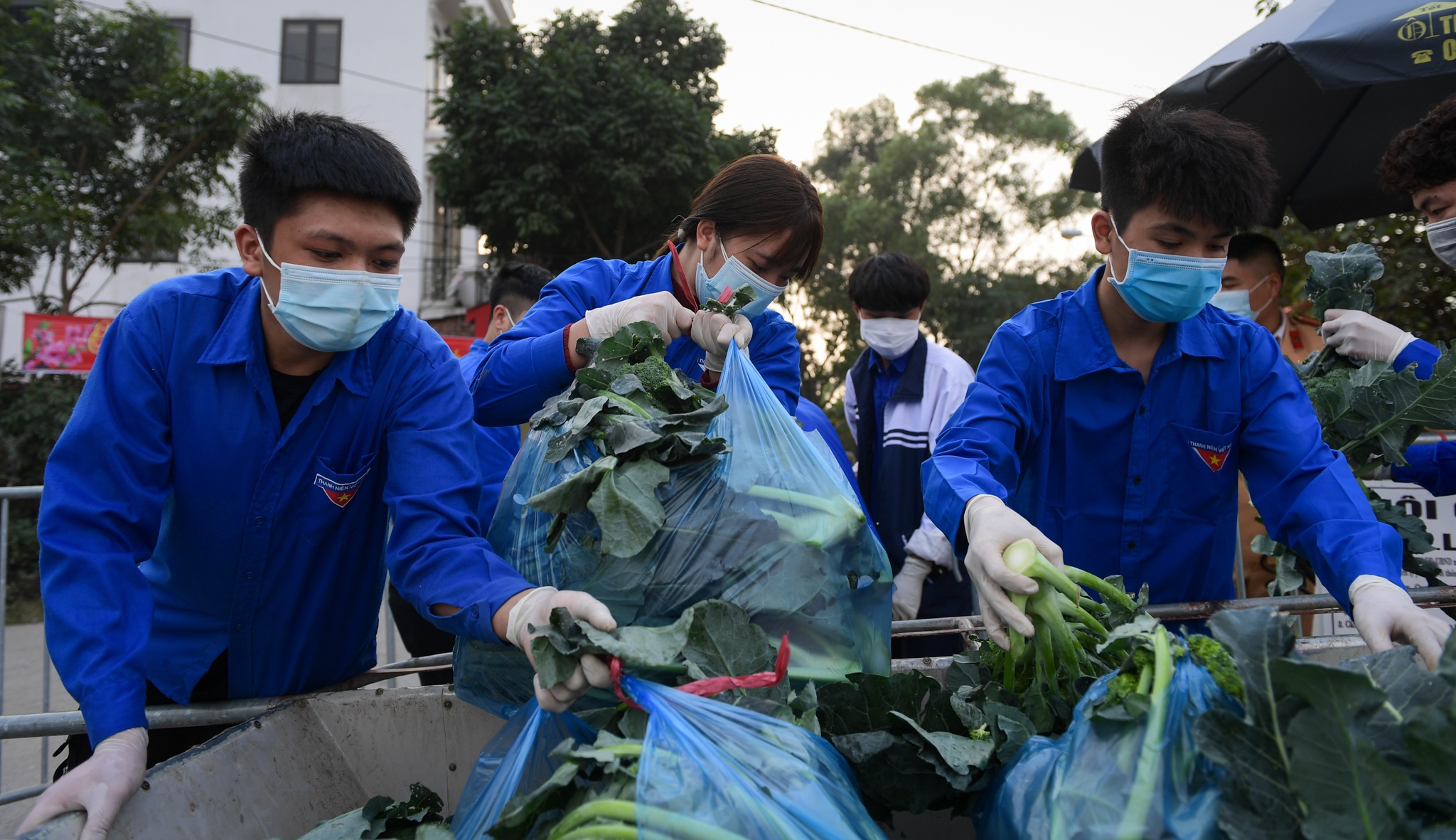 Tang xe rau cho nguoi dan Bach Tru hinh anh