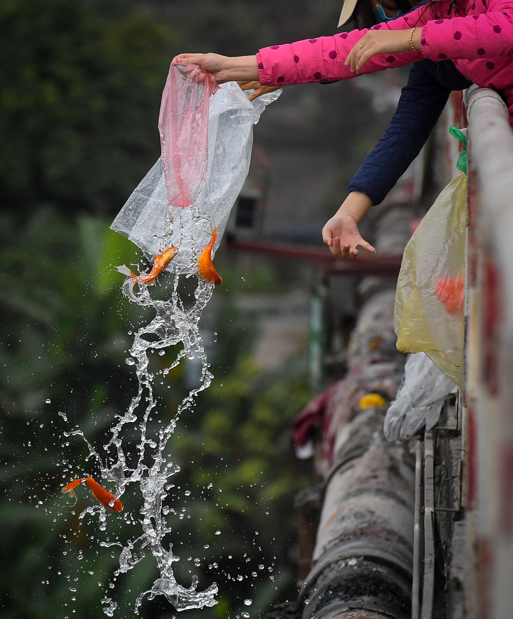 khong deo khau trang di tha ca chep anh 9