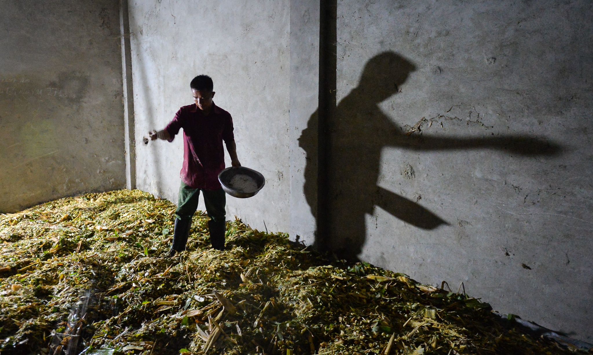 Chi hang tram trieu nuoi trau choi anh 5