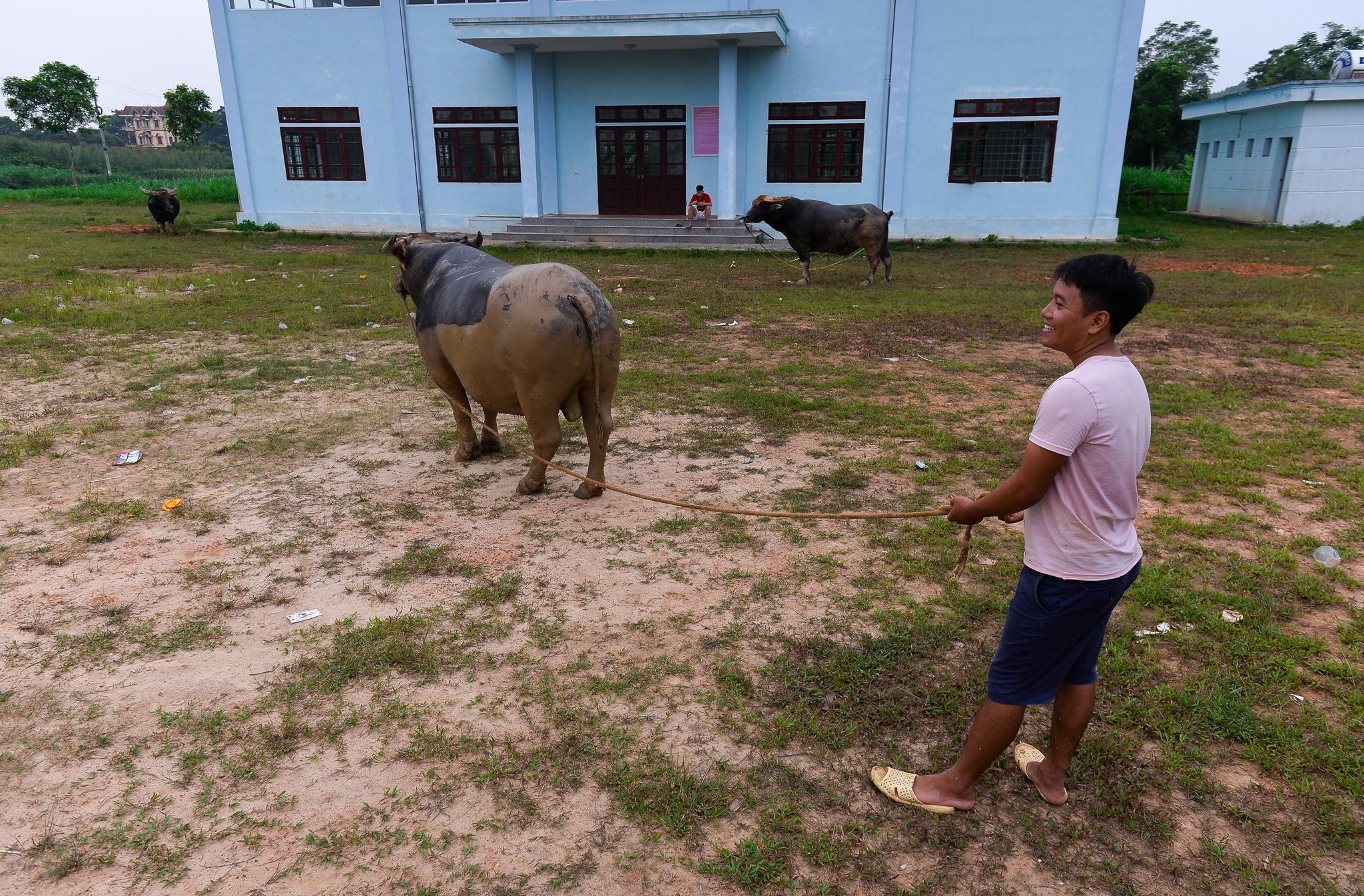 Chi hang tram trieu nuoi trau choi anh 7