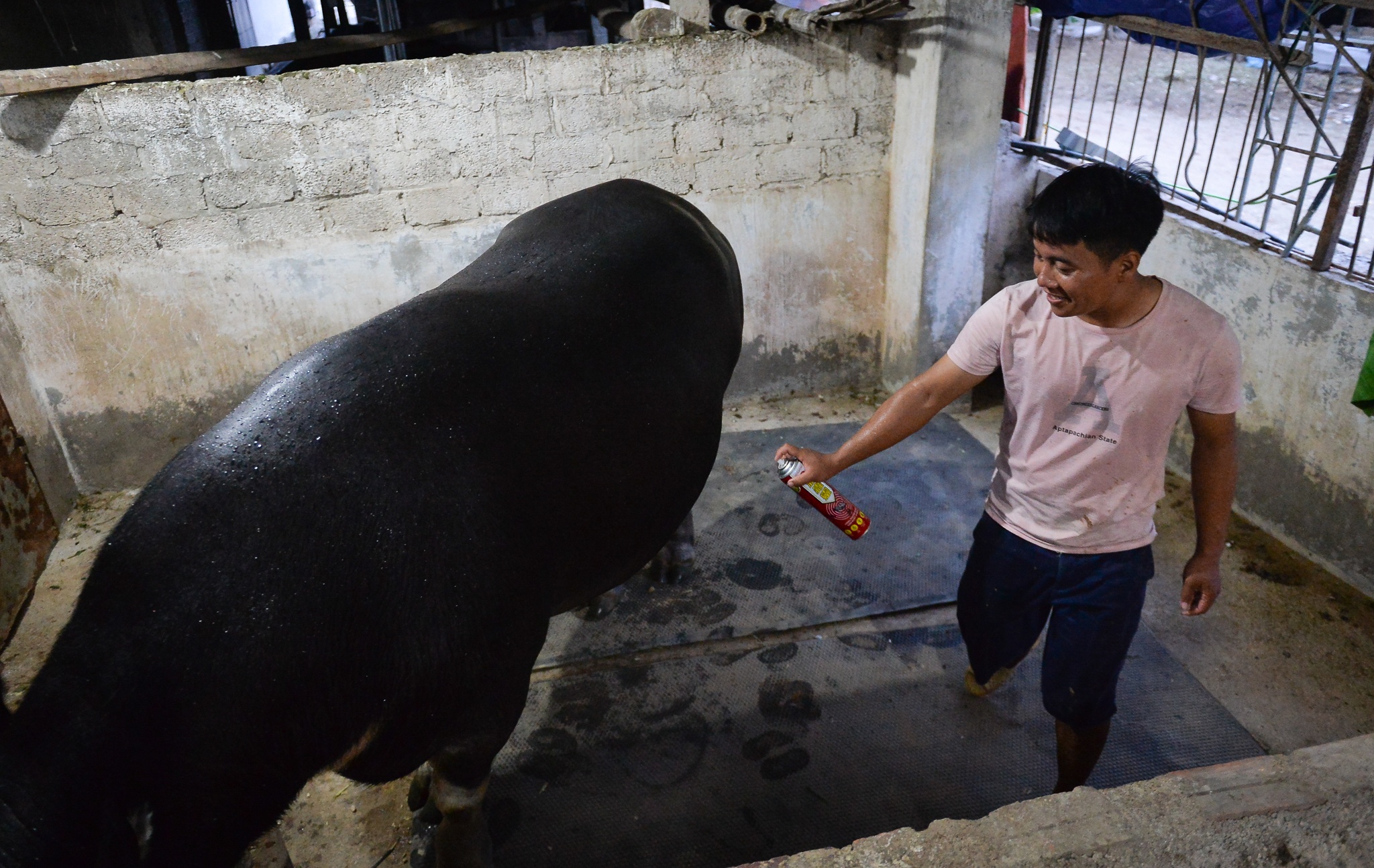 Chi hang tram trieu nuoi trau choi anh 9
