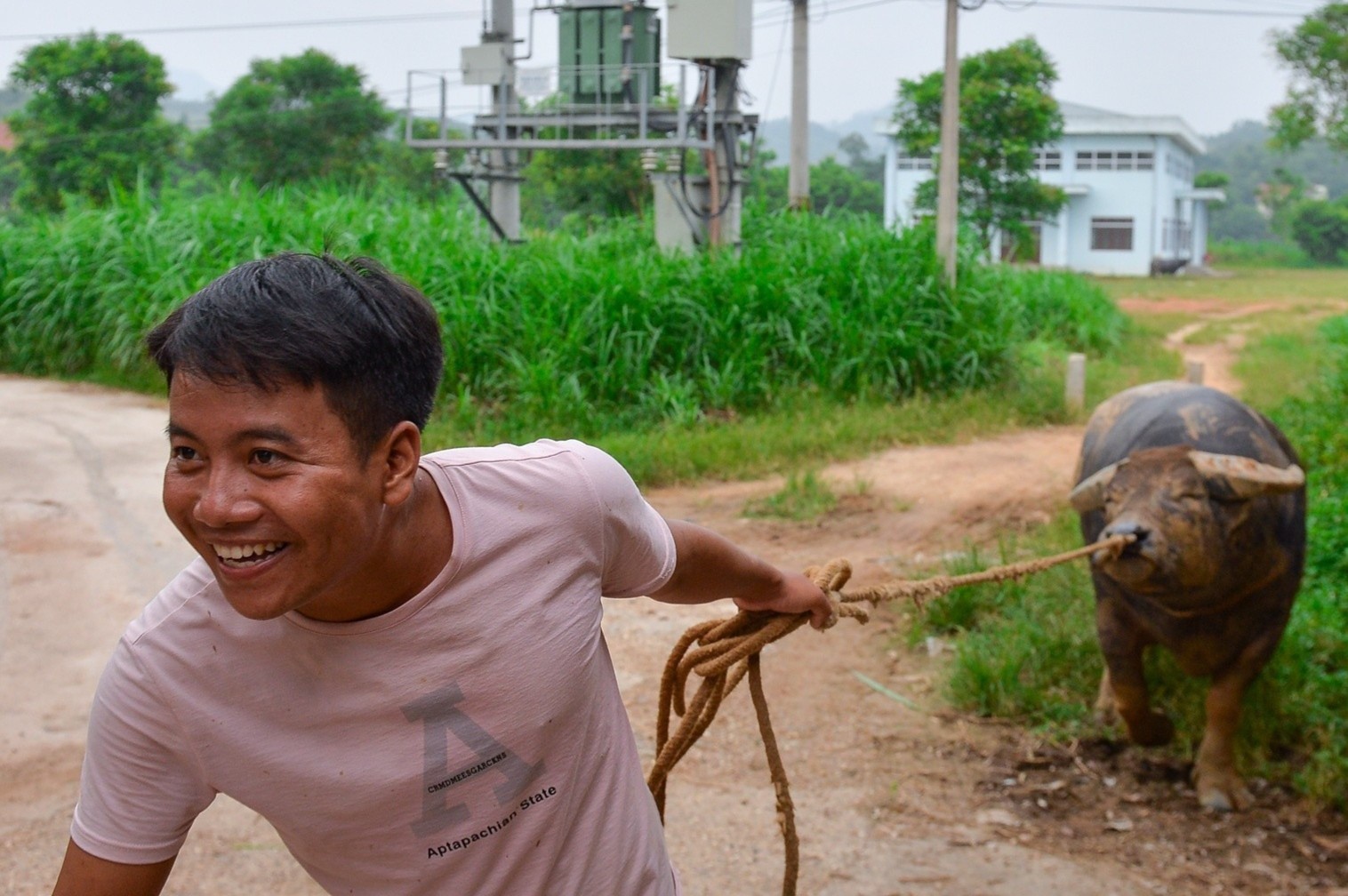 Nguoi Hai Luu chi hang tram trieu nuoi trau choi hinh anh