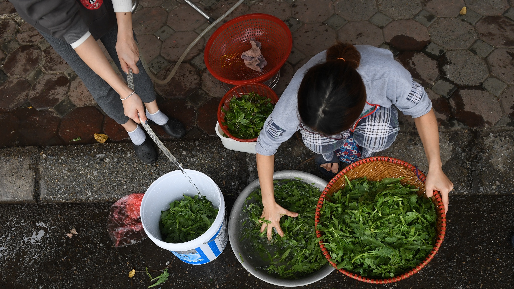 65 người gói bánh chưng ảnh 23 65 nguoi goi banh chung anh 23