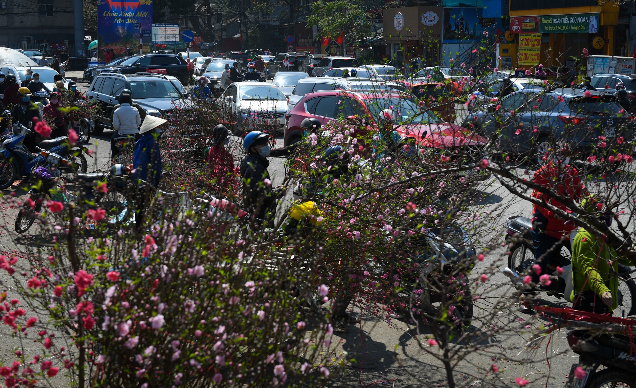 tac duong quanh cho hoa Quang Ba anh 10