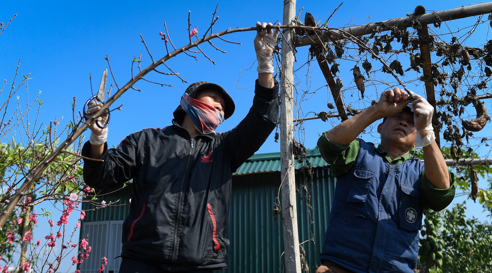 dao Nhat Tan e khach anh 10