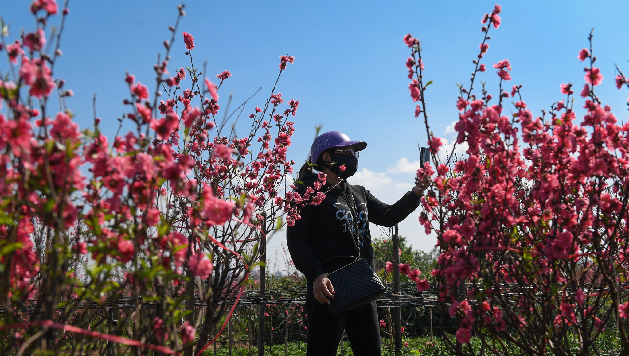 dao Nhat Tan e khach anh 8