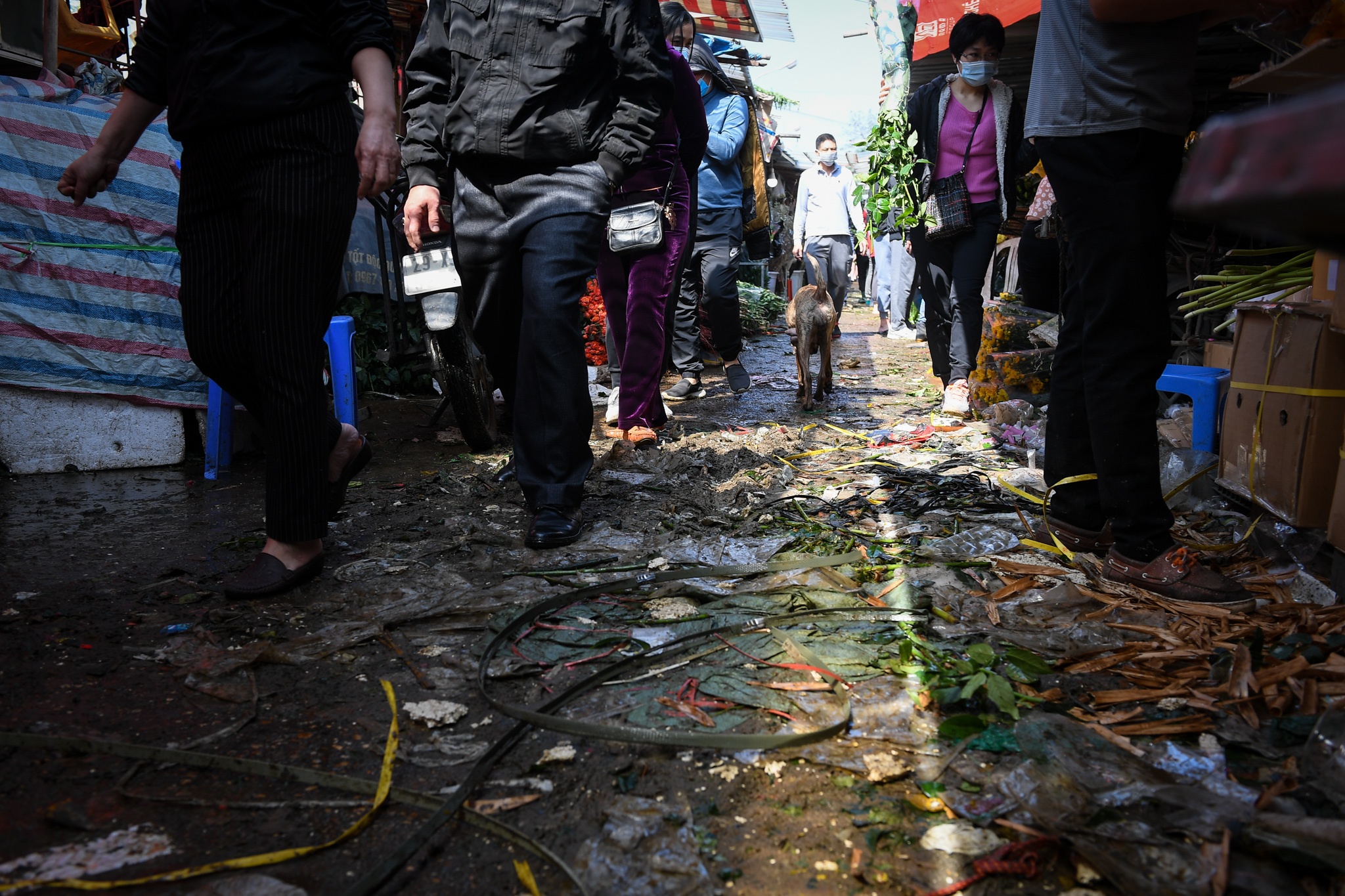 tac duong quanh cho hoa Quang Ba anh 8