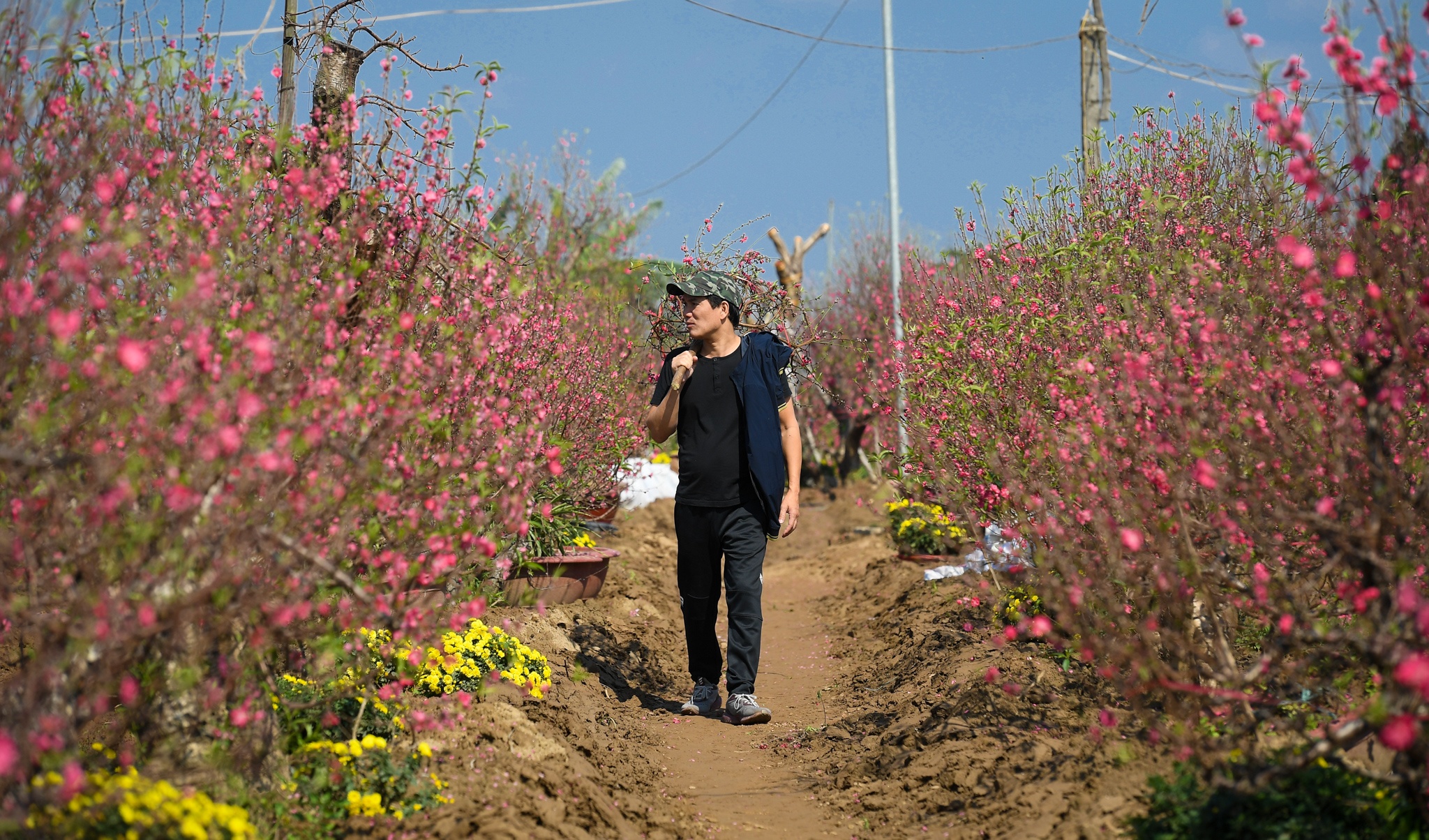 dao Nhat Tan e khach anh 9