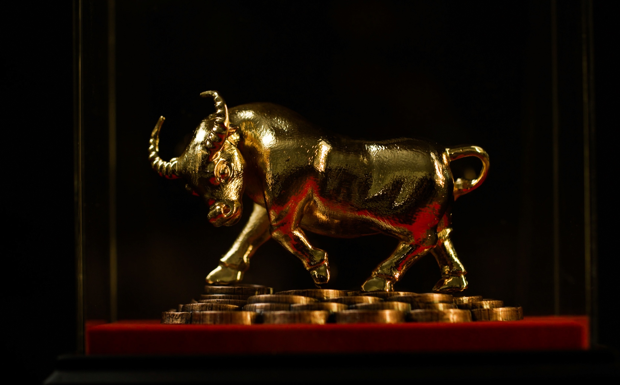 mau trau vang ngay via Than tai anh 4