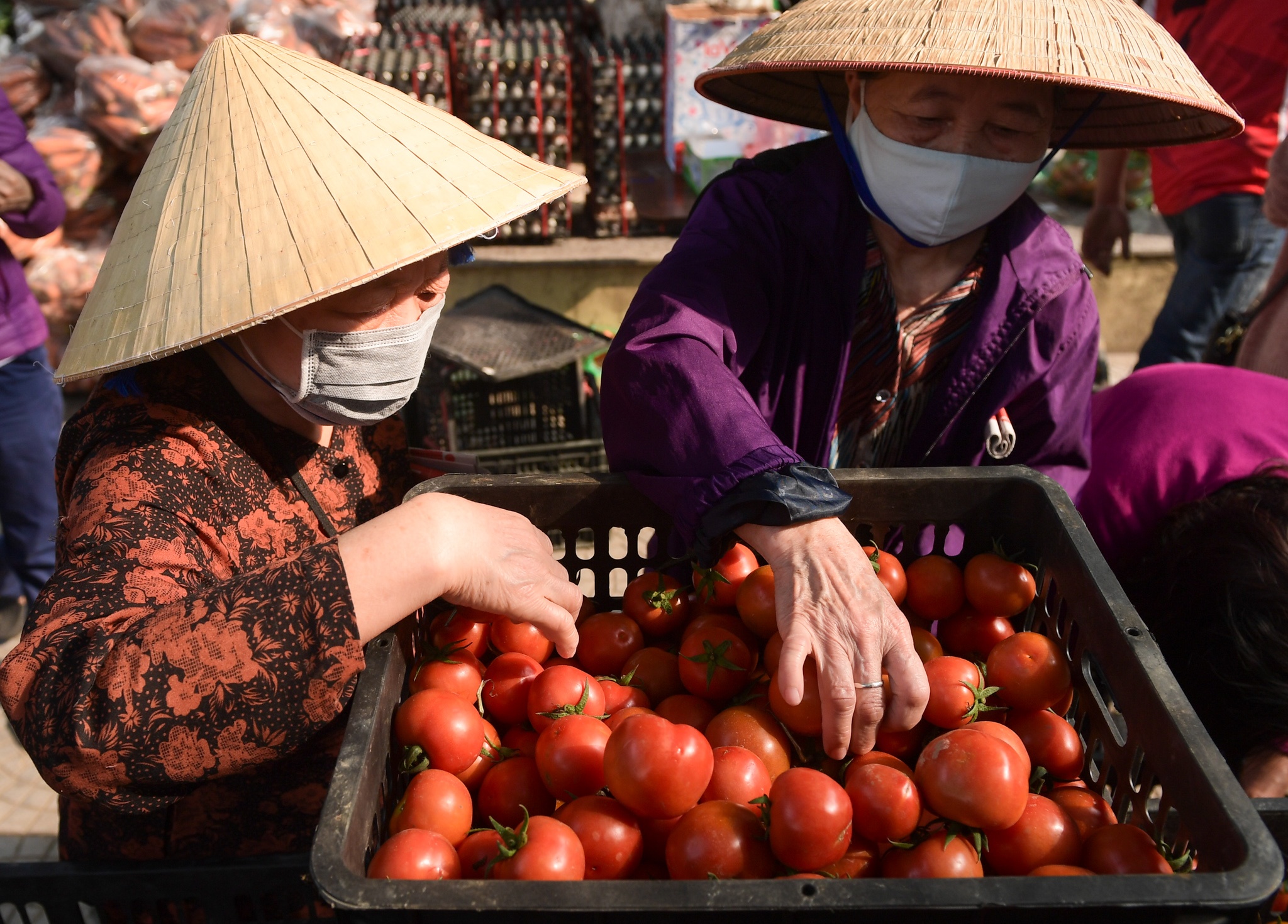 Cac diem giai cuu nong san Hai Duong no ro khap Ha Noi hinh anh