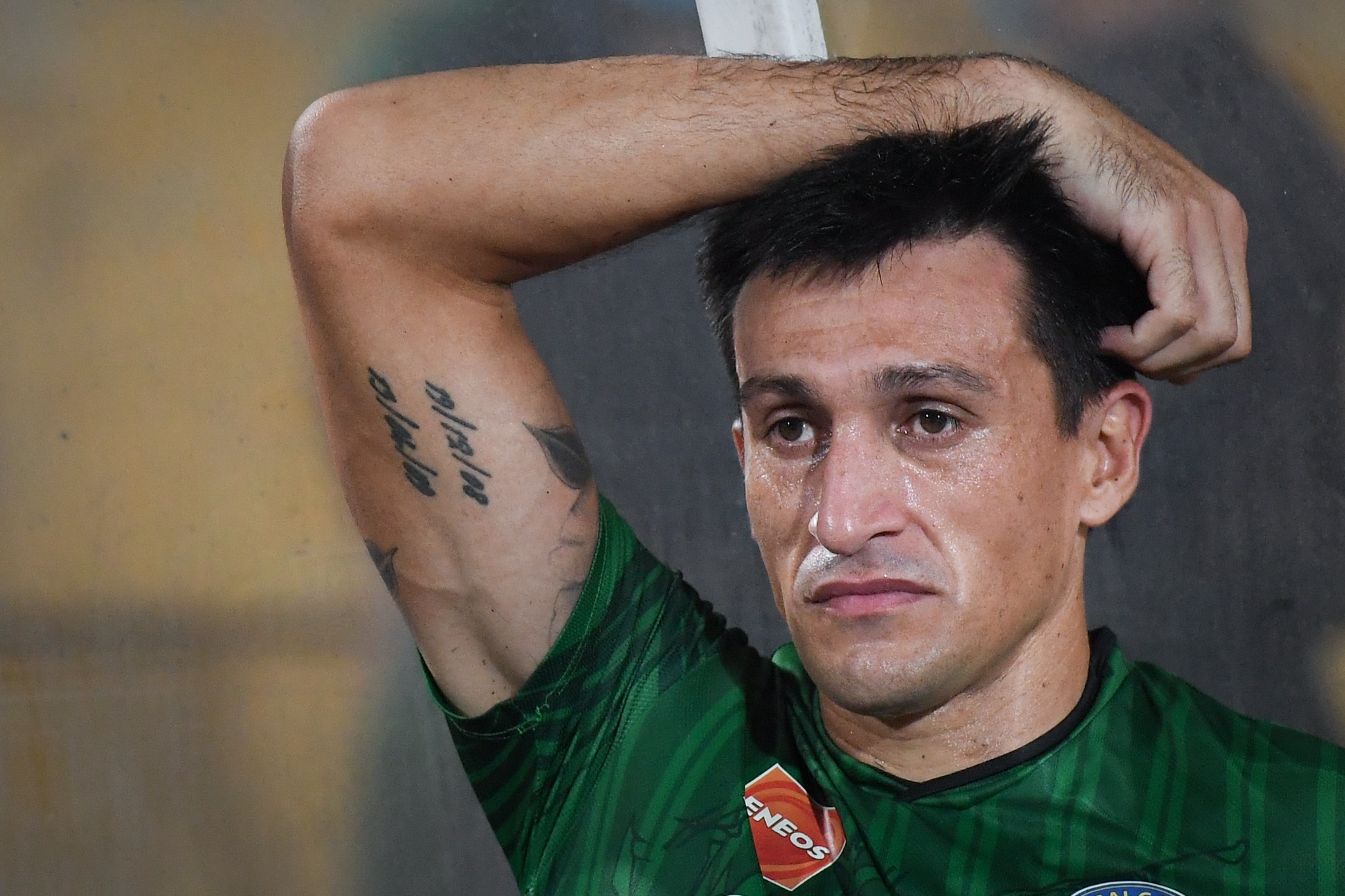 Do Merlo mang Trung Hieu anh 5