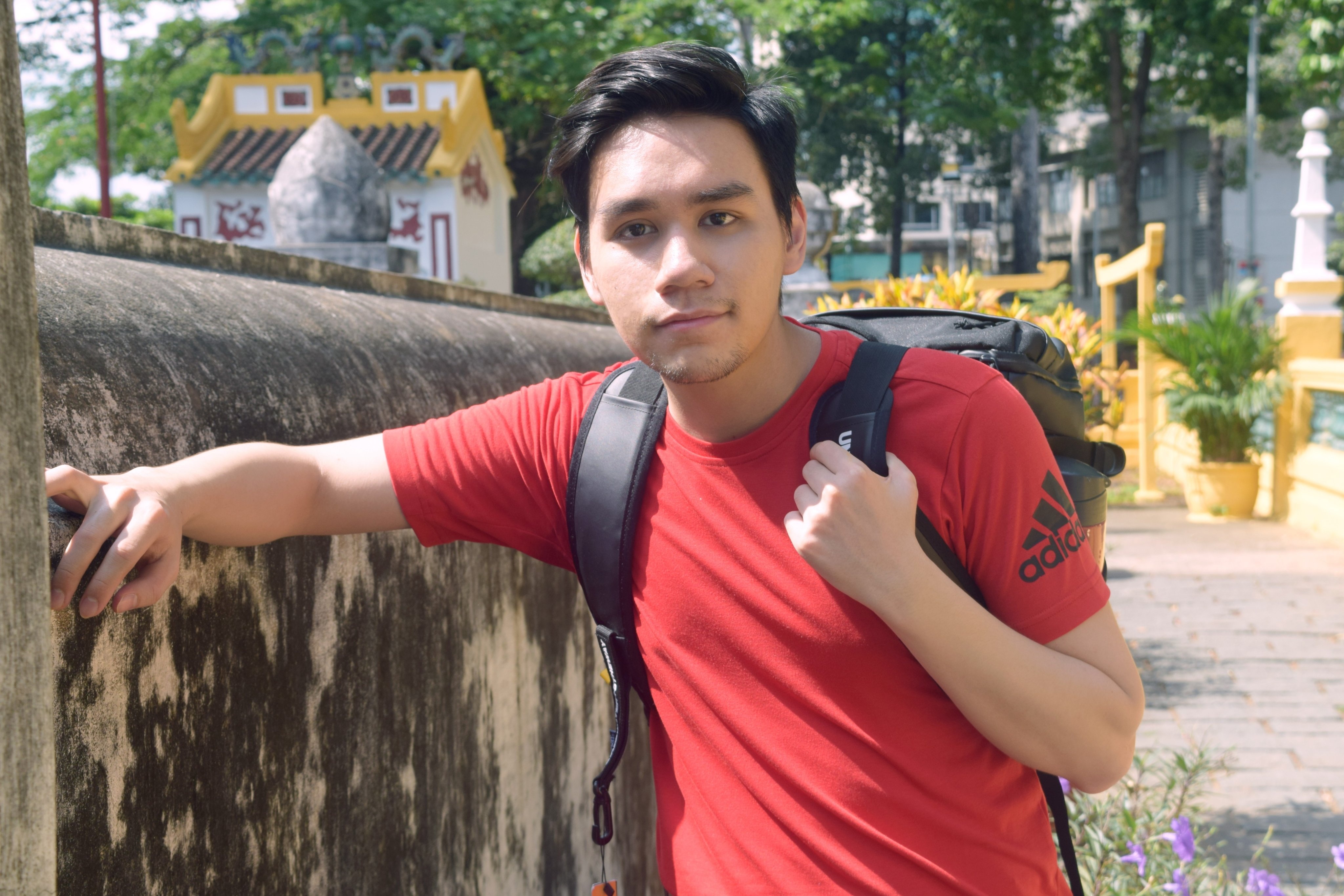 Tieu thuyet do hoa "Cay bach xu" anh 3