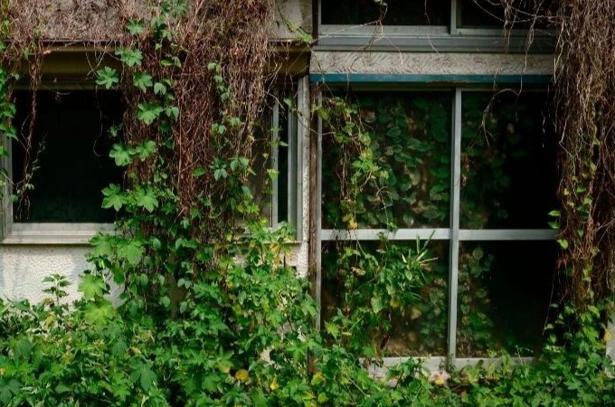 Cau chuyen am anh trong 'ho den sau tham' hinh anh