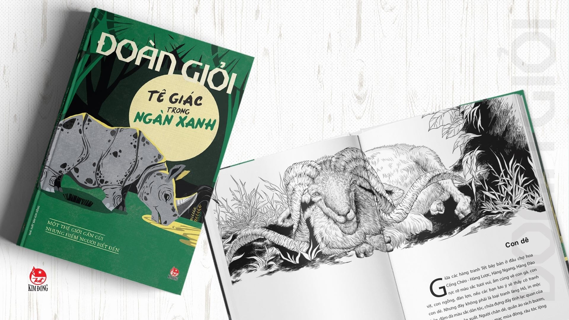 Te giac co don trong rung xanh hinh anh