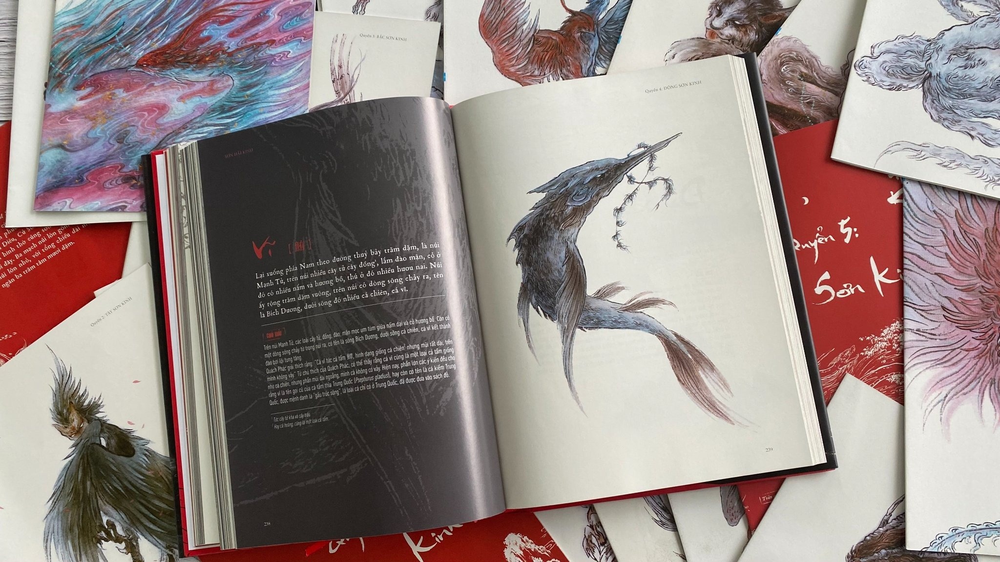 Sach Son hai kinh anh 2