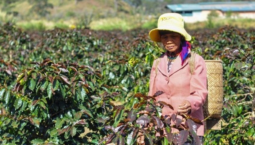 Vu mua den thoi rua hinh anh