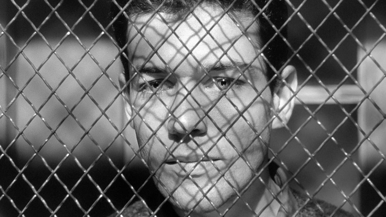 Moi nguoi deu co kich ban cuoc doi cua rieng minh hinh anh